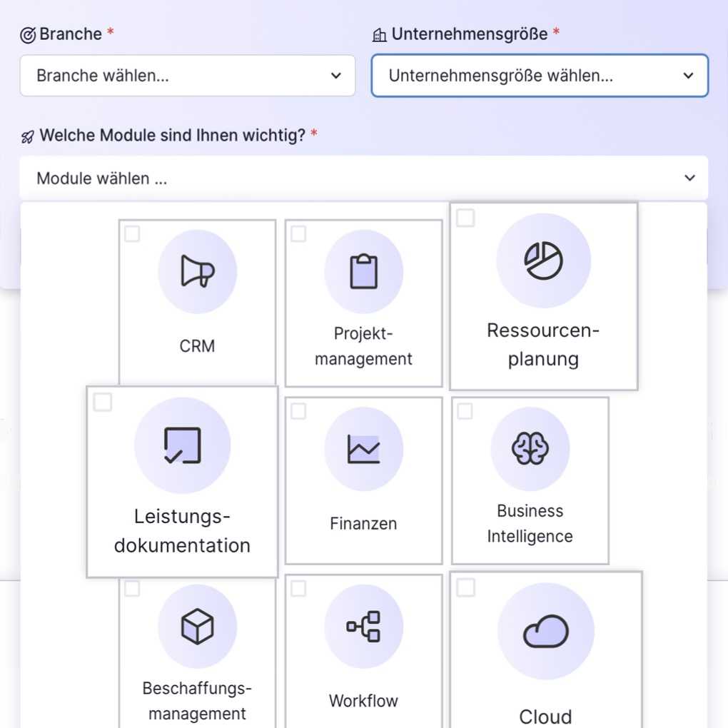 The picture shows a website with filters for industry, company size, and modules